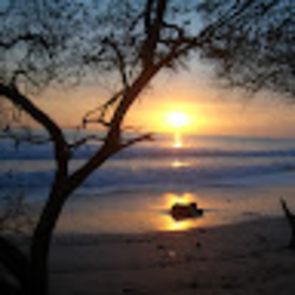 Meet your Posher, Andra